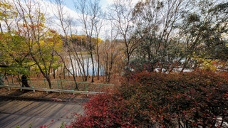 スーペリア ルーム