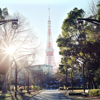 21.東京のシンボル「東京タワー」にのぼって都内を一望！3142087
