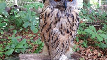 池の平ファミリーランド③ / 3