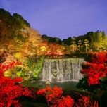 【関東】心を和ませる四季折々の様式美。日本庭園のある旅館・ホテル10選