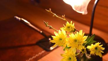 施設内の設備 / 1