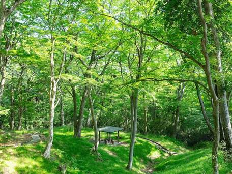 KANAYA RESORT HAKONE / 5