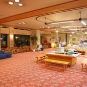 甲府の夜景を独占する温泉 11種類の風呂 ホテル神の湯温泉（山梨県 旅館） / 2