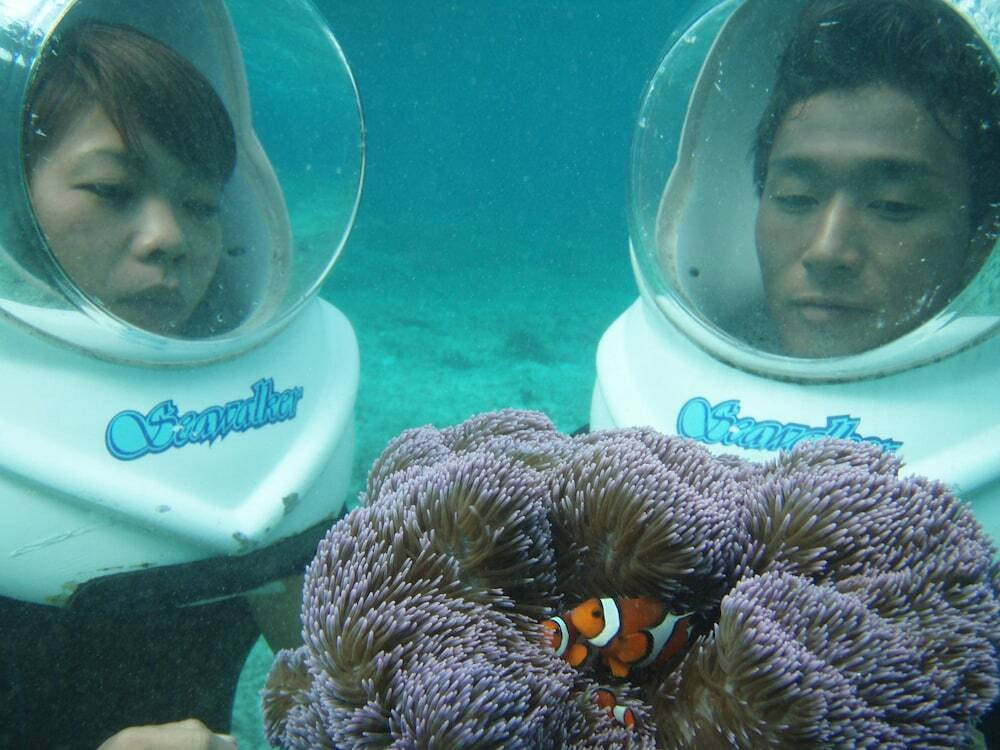 夏だけ楽しめる特別な海中散策「シーウォーカー」4269932