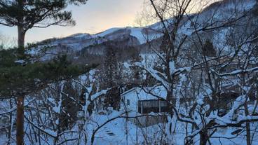 マウンテン ビュー / 15