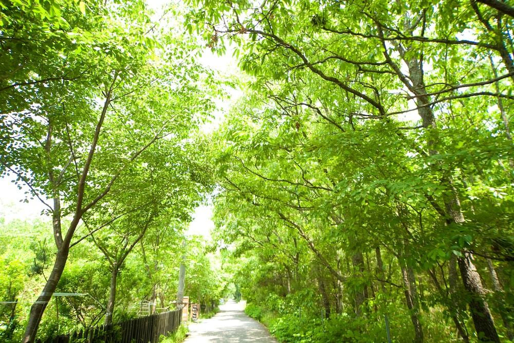 施設からの眺望