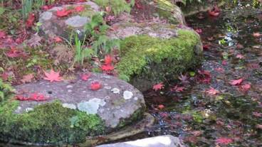 施設の敷地 / 24