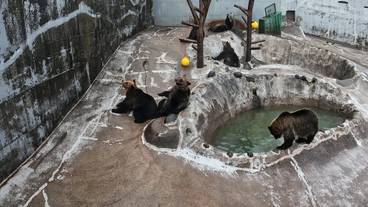 ランド ビュー / 9