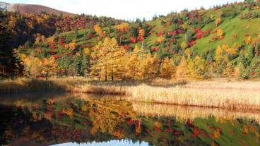 バーベキュー / ピクニック エリア / 37