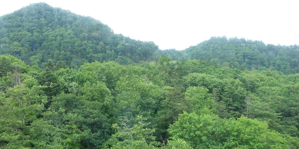 部屋からの景観