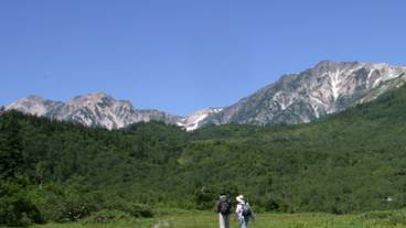 栂池自然園：夏 / 1