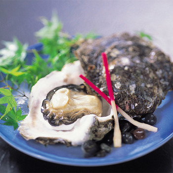 「味の宿 みち潮」 料理 56157678 岩がき