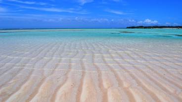 施設からの眺望 / 32