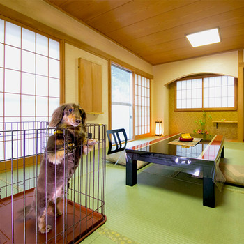 動物好きにはたまらない!ペットと一緒に泊まってリフレッシュ4084947