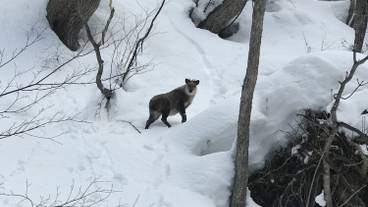 スノー スポーツとスキー / 2