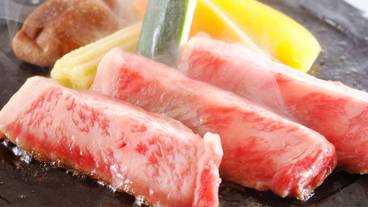 食事・飲み物 / 10