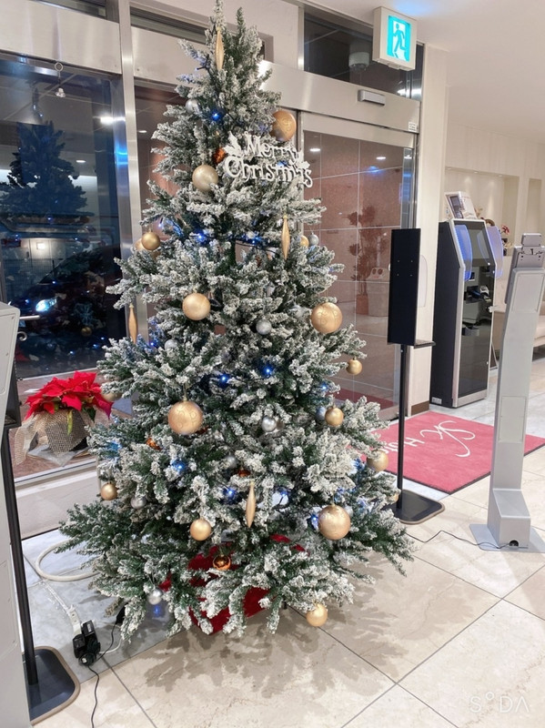 クリスマスツリー