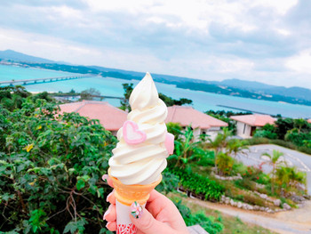 「カフェ プルメリア」 料理 136414738 