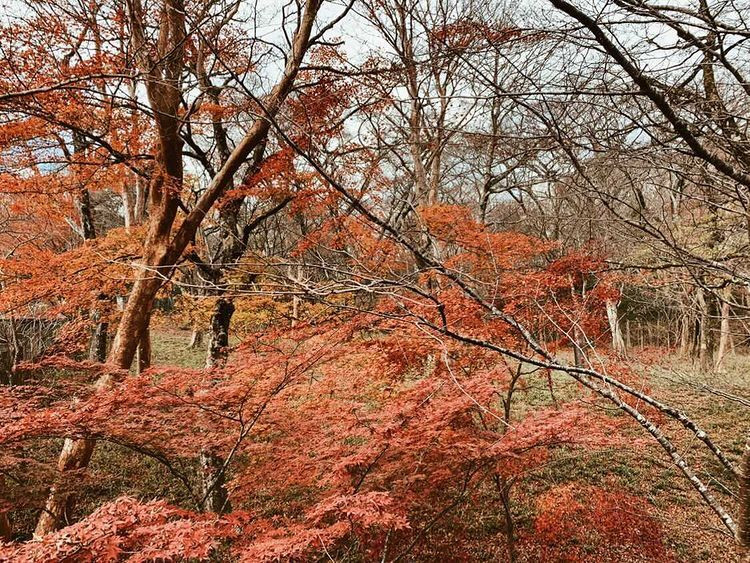 reiya_14さんの写真 / 3