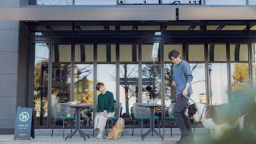 レストラン / 16