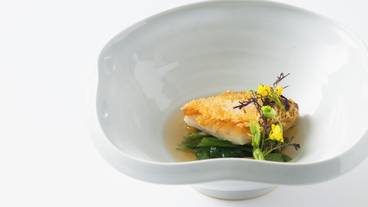 食事・飲み物 / 16