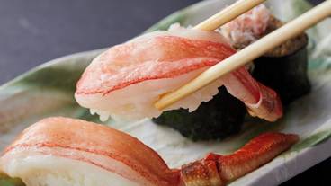 食事・飲み物 / 16