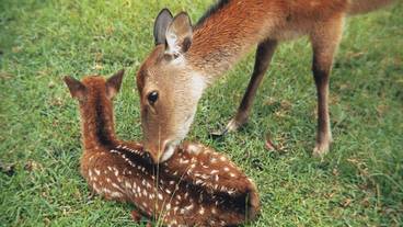 観光スポット / 2