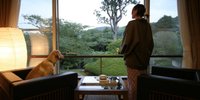 愛犬との旅なら伊豆旅行！ペットと泊まれる宿＆観光スポット