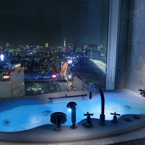 品川プリンスホテル(シナガワプリンスホテル) / 1