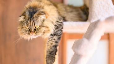 施設内の設備 / 20