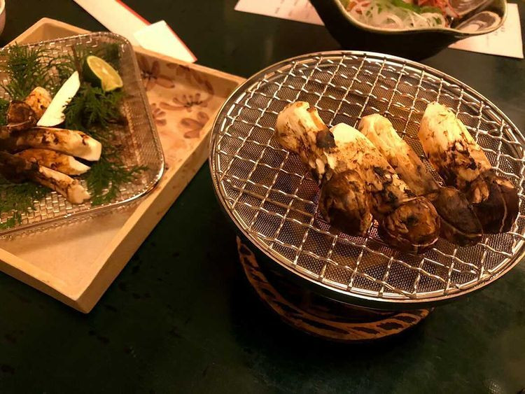 meesan622さんの写真 / 2