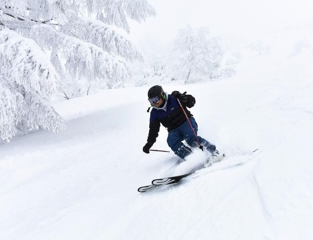 スノー スポーツとスキー