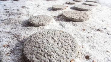 施設の敷地 / 12