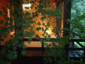 界阿蘇（熊本県）4247582