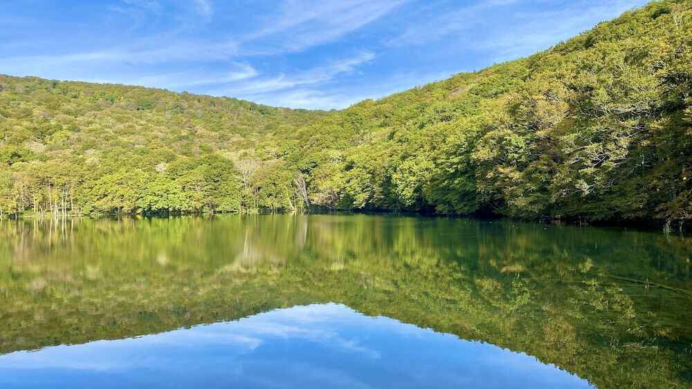 ブナの森に包まれた秘境「蔦温泉」の自然に身をまかせて3701844