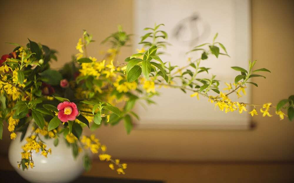 館内のお花