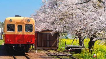 ランド ビュー / 24