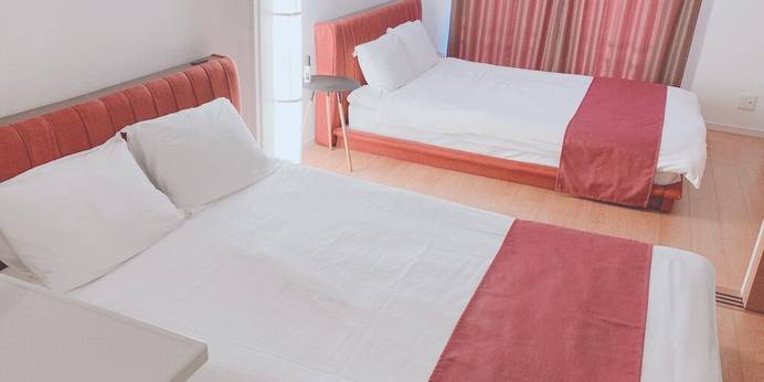 EUROPEAN HOUSE REISEN（福岡県 アパートメント） / 1