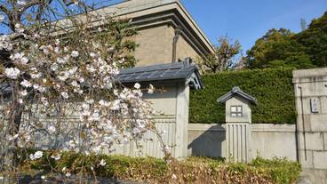 メイン イメージ / 1