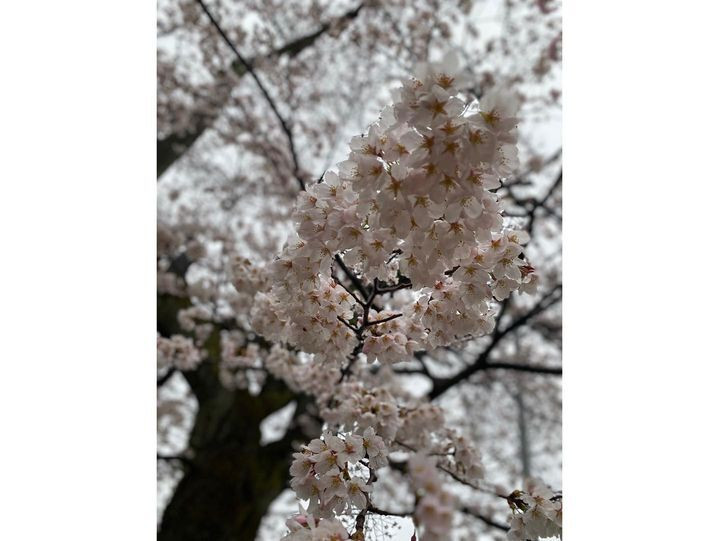 __ai___ka.kさんの写真 / 3