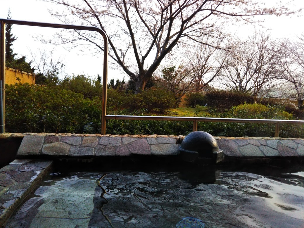 桜を見ながらの露天風呂