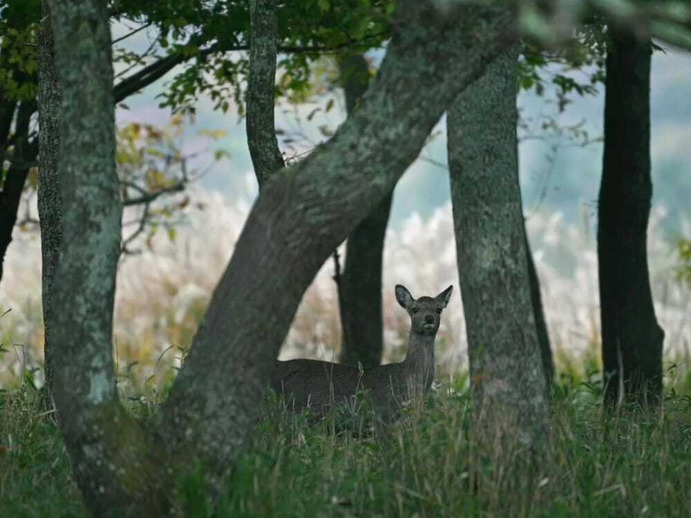 施設からの眺望