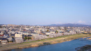 ジュニア スイート