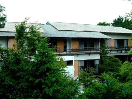 仙石原温泉 温泉旅館みたけ / 5