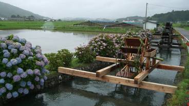 シティ ビュー / 33