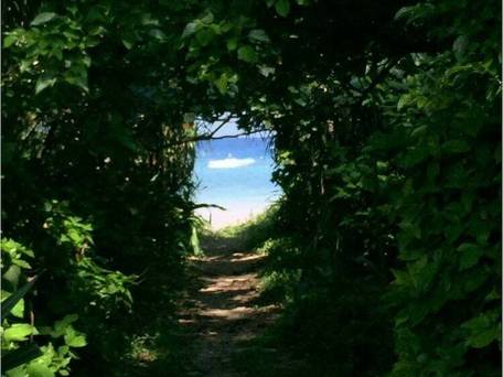 ワイヤーズホテル恩納 クリッパーオキナワベース / 3