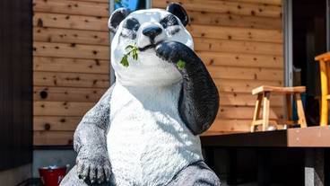 コテージのパンダ / 21