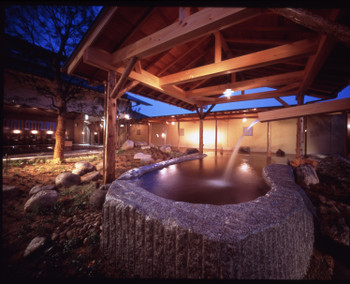 「ナガシマスパーランド」のすぐお隣！専用ゲートから入場可でお得感あり3566545