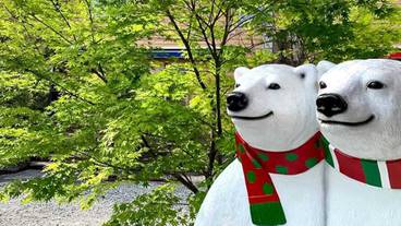 フロント棟 シロクマ / 1