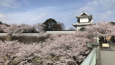 観光スポット / 12